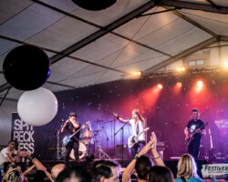Chris Wall (vocals, guitar, harmonica), Sergio Barbieri (guitar), Gilbert "Gibs" Marin (bass), VG Greg Richardson (drums).
Spit Reckless @ Festiverbant, festival rock LanDEcy (Geneva), Switzerland, 23.08.2019.
(c) Christophe Losberger